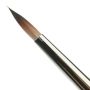 Facepaintshop Pointer Brush 6