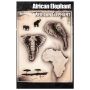 Wiser Airbrush Tattoo Eléphant d'Afrique