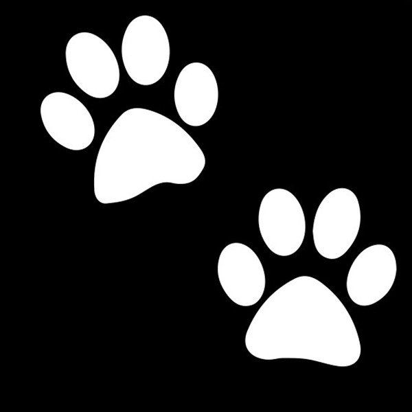 Pochoirs de tatouage pailletés Emoji Paws (pack de 5)